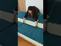 Download Lagu 👉Sofa Cover👈 Make your home more cozy.