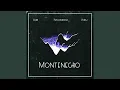 Download Lagu Montenegro (feat. Phyllomedusa \u0026 Korb)