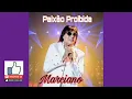 Download Lagu SERTANEJO DE OURO⭐PAIXÃO PROIBIDA📀MARCIANO🎧TÚNEL DO TEMPO MUSIC