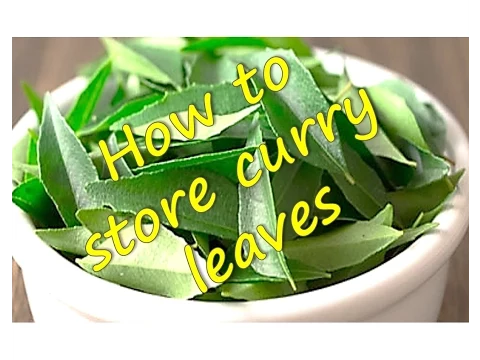 Download MP3 How to store | freeze  Curry Leaves | RinkusRasoi