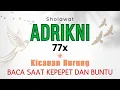 Download Lagu Sholawat Adrikni 77x Saat Darurat Kepepet Mengadu Pada Rasulullah | Tanpa Musik + Suara Burung Pagi