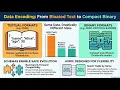 Designing Data Intensive Applications Chapter 4 Summary System Design Database Design
