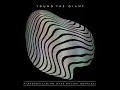Mind Over Matter (Reprise) - Young the Giant