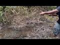 Download Lagu Mancing Lembat Di Rawa Sabah Perusahaan Penuh Dengan Sentekan-Sentekan Yang Mendebarkan
