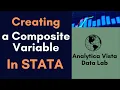 19 How to Create a Composite Variable in Stata