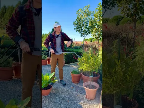 Bringing plants indoors? Don’t bring the pests too.