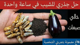 "في ساعة يختفي الشيب نهائيًا بدون حناء ولا صبغة 💥 اقسم بالله هتدعيلي على النتيجة!"