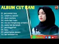 Lagu CUT RANI - PERCERAIAN LARA | OBATI RINDUKU | SIA SIA MENGHARAP CINTAMU || LAGU POP TERPOPULER 2024