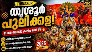 😱 തൃശ്ശൂരിൽ പുലിയിറങ്ങി! ഈ കാഴ്ച നിങ്ങൾ കണ്ടോ? | Thrissur Pulikali 2026 🔥🐯