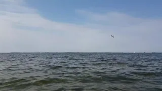 بی قرار گوگوش Bigharar Googoosh 