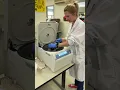 Day in the Life of a Medical Laboratory Technician