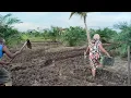 Download Lagu WARGA TRANSMIGRAN ASAL JATIM, PUNYA PILIHAN TERSENDIRI,UNTUK TANAMAN JANGKA PANJANG