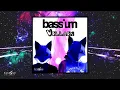 Bassium - Villain Original Mix