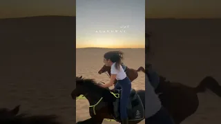 مفيش اجمد من كده    عالهدا تمشي بهدا  ادللي  اجمل حالات الواتس اب     دندنها