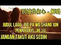 Download Lagu Lagu mandarin Terjemahan Indonesia,Bie pa wo shang xin,别怕我伤心 解璐