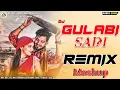 Lagu Desi Dhol Mix/Gulabi Sadi/2024 2025 New DJ Remix/Mashup/DJ Anil Bhadra /AN BRAND REMIX
