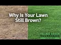 Why Is My Lawn Brown in Spring North Texas Answer