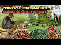 Lagu MASAKAN SEDERHANA HASIL ALAM | Oseng Bunga Singkong, Tumis Daun Ubi dan Sayur Biji Kacang