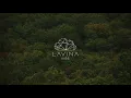 Landhouse & David Rausch - Sleep Is Holy - Bassara ReVox