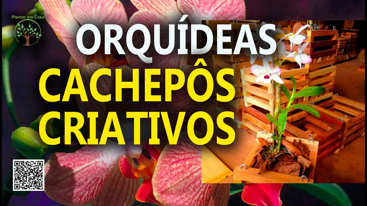DICAS PARA ORQUÍDEAS CONHECE O CACHEPÔ PLANTAR EM CASA