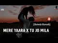 Mere Yaara X Tu Jo Mila [Slowed+Reverb] Lofi Mix - USE 🎧 RaMe Music