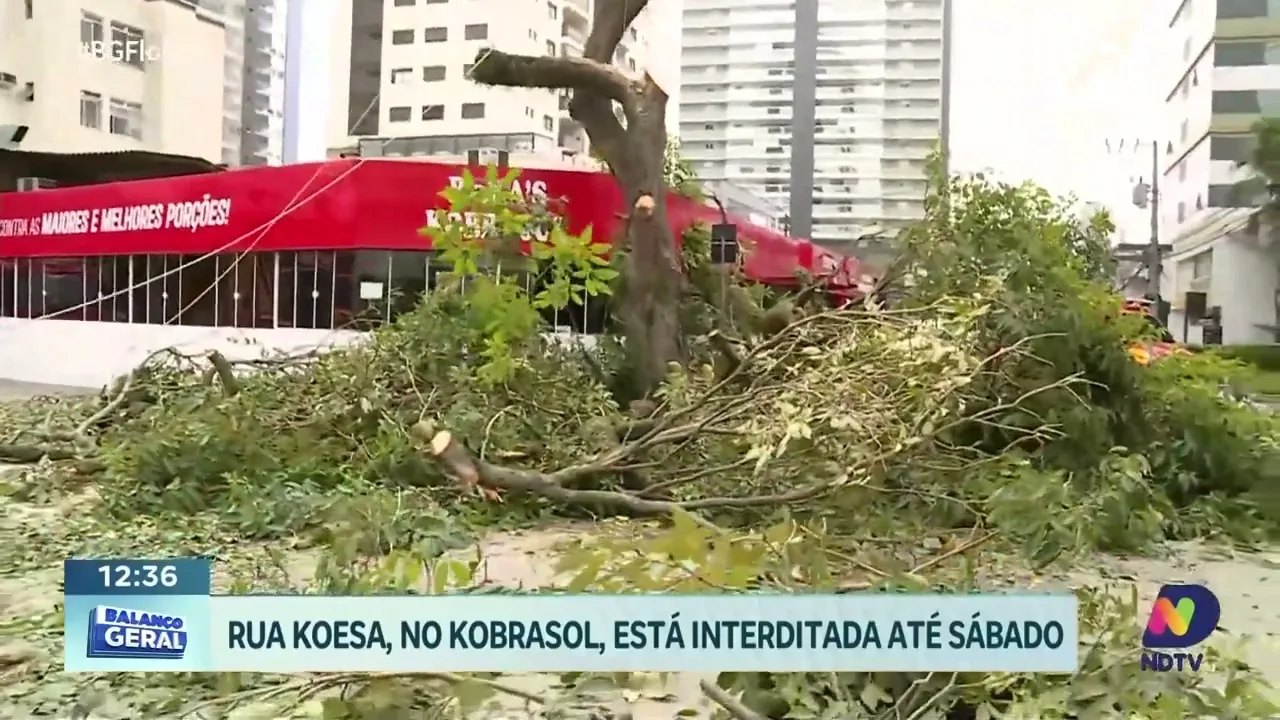 Trânsito no Kobrasol: Rua Koesa interditada até sábado