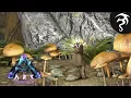 Mushroom Guide - Ep12