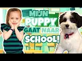 Lagu BUMPER GAAT NAAR SCHOOL!! 🎒🤓