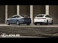 The All-New Lexus ES | The Standard of Amazing | Lexus