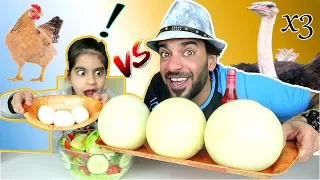 تحدي أكل ۳ بيضات نعامة عملاقة ضد ۳ بيضات دجاجة صغيرة Ostrich Eggs VS Chicken Eggs Challenge 