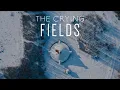 Download Lagu The Crying Fields