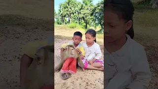 Funny koko Monkey moment with family