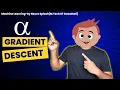 What is Alpha in Gradient Descent Hyper Parameters