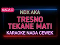 Download Lagu TRESNO TEKANE MATI - Karaoke Nada Wanita - NDX AKA