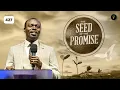 The Seed of the Promise | Phaneroo Service 427 | Apostle Grace Lubega