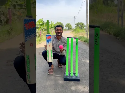 Wood bat and plastic stump play set