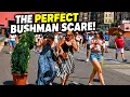 Bushman prank Their Reactions Were Priceless
