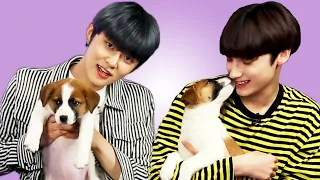 Download TXT Plays With Puppies While Answering Fan Questions MP3