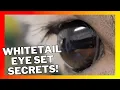 WHITETAIL EYE SET SECRETS