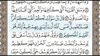 سورة يوسف الصفحة 245 الشيخ محمد صديق المنشاوي 