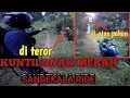 Download Lagu 🔴SANDEKALA‼️MUNCUL SOSOK KUNTILANAK MERAH || trabas kehutan malah nyasar ke petilasan