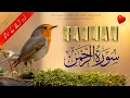 Lagu Surah Rahman Urdu Tarjuma k Sath | Qari Al Sheikh Abdul Basit Abdul Samad | Quran Karim | Recitation