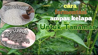 Download Cara fermentasi ampas kelapa , pupuk kompos organik untuk tanaman MP3