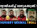 Download Lagu മൃണാലിന് പിടിച്ച പുലിവാല്.!! Troll Video | Mrinal's Blog | Hungry Mrinal Troll | Albin Joshy