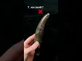 Which one of these teeth belonged to a T rex