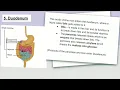 pigs digestive system SD 480p