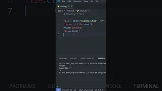 Python Basics READ FILES in Under a Minute
