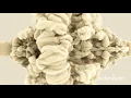Smoke Collision in Slow Motion