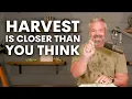Download Lagu Your Harvest Is Closer Than You Think! (September Prophetic Word)