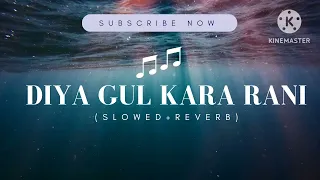 diya gul kara rani slowed reverb bhojpuri song lofi pawan singh akshra singh